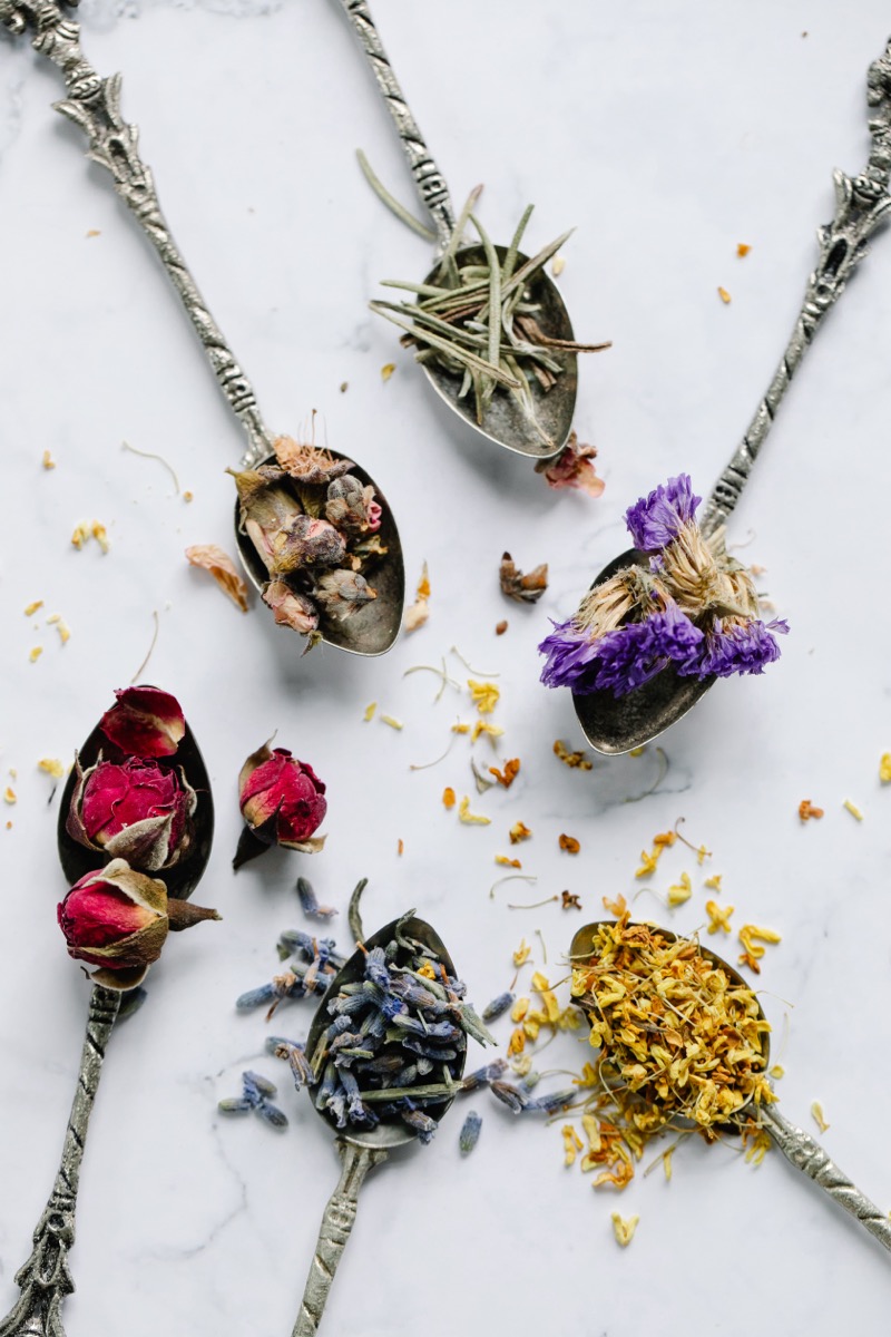 Six spoons with natural herbs and botanicals
